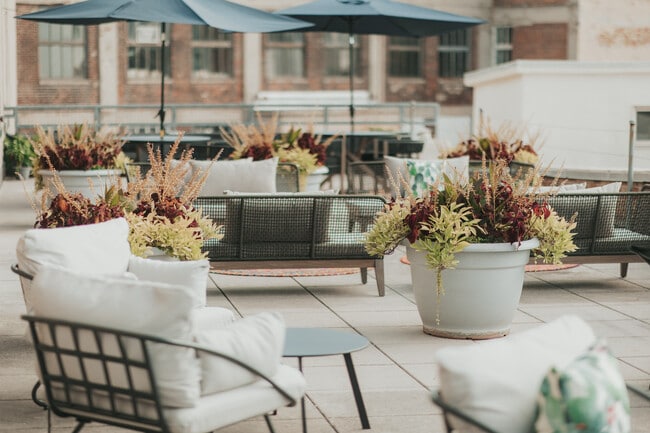 Rooftop Patio