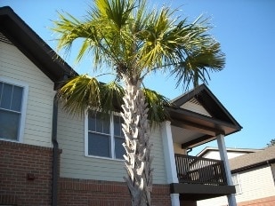 Photo - Heron Crossing Apartments