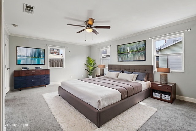 Photo - Walkable neighood hood/ Furry friends welc...