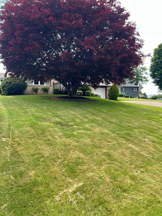 Photo - 3 Bed / 1 Bath Single-Family Home – Richland School District