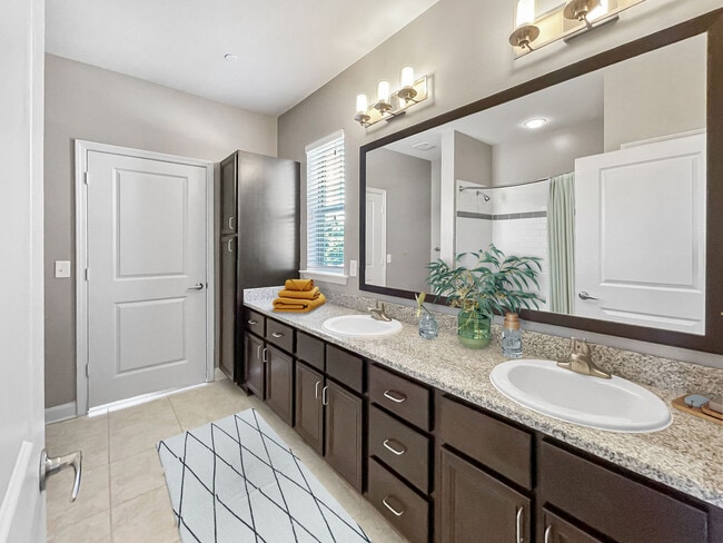 Homestead at Hartness apartments — community photo