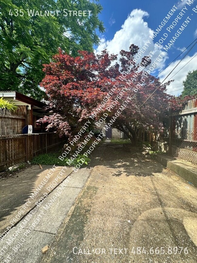 435 Walnut St