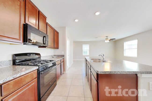 Photo - 4906 White Chicory Dr