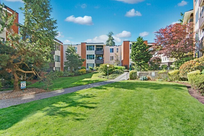 Watercrest