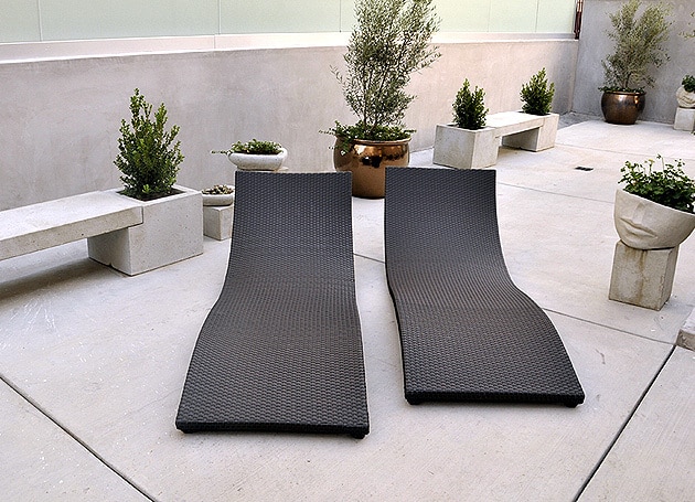 our backyard - 1418 N Poinsettia Pl