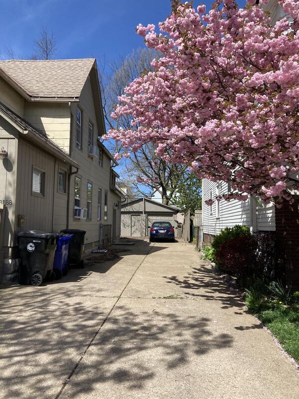 3188 W 92nd St Condo Condo for Rent in Cleveland, OH