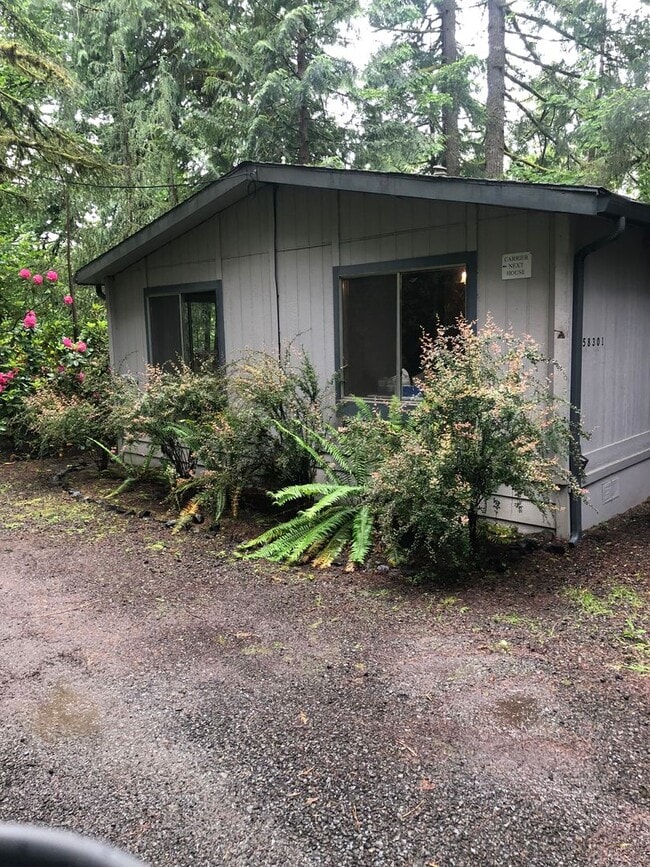 Photo - River Rapids