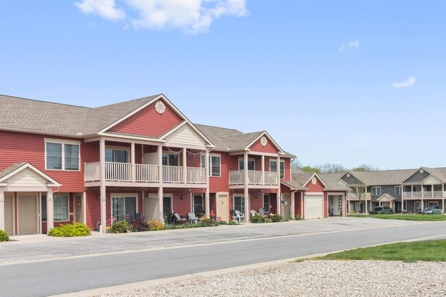 Photo - Autumn Woods