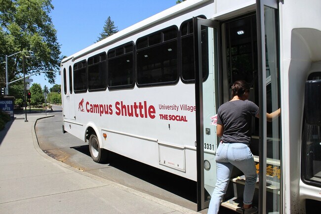 Photo - The Social Chico®