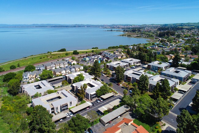 Bayside Apartments
