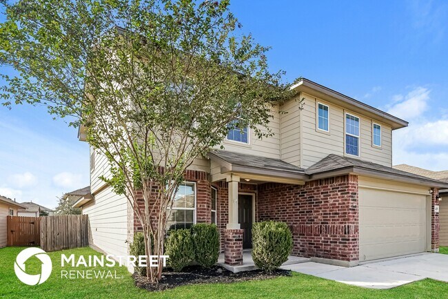 Photo - 419 Eastern Phoebe