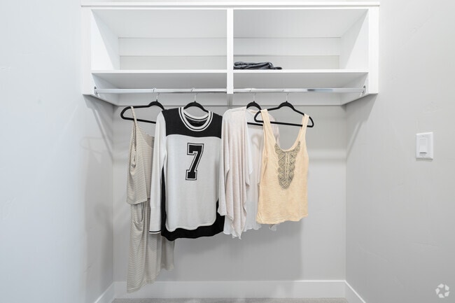 1BR, 1BA - 861SF - Closet