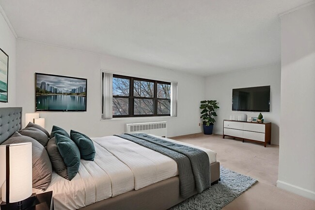 Photo - Tivoli Park Apartments