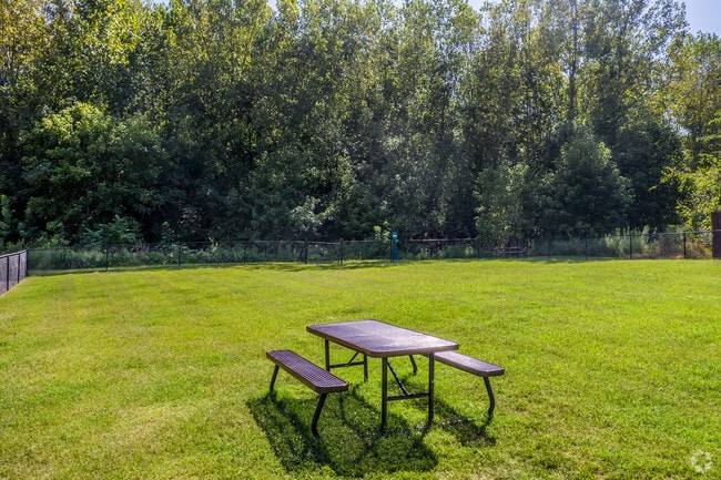 Fenced Dog Park