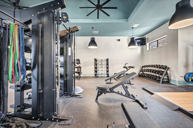 The Wilde - Amenities - Fitness Center - The Wilde