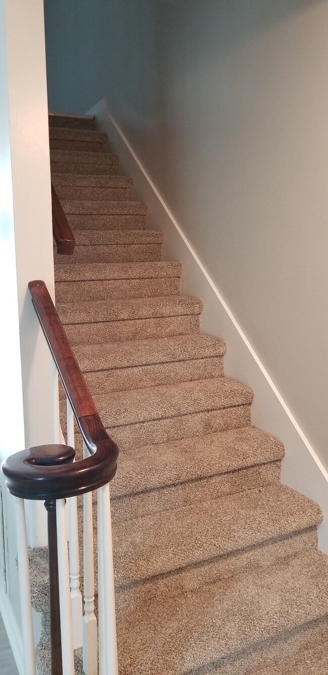 Stairs with new carpet - 1723 S Seminole Dr