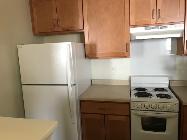 Photo - Ivy Manor Apartments