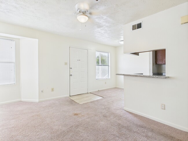 Photo - 4441 Old College Rd