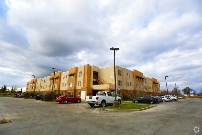 Photo - Camellia Gardens