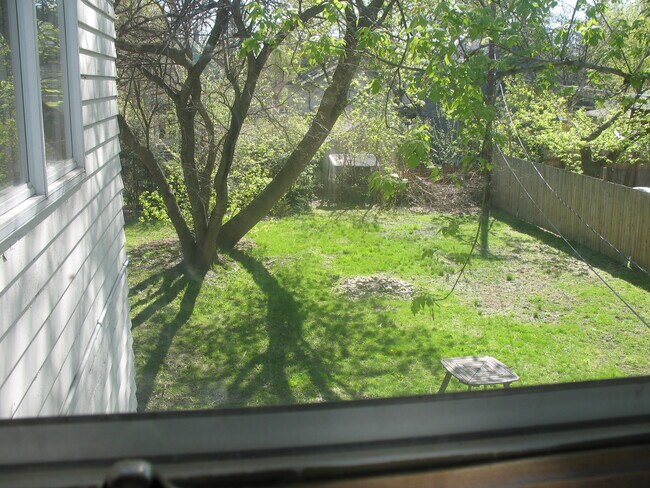 Yard from window