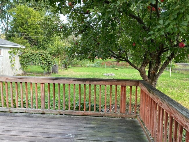Building Photo - Charming 4-Bedroom Home in Fridley — Great...