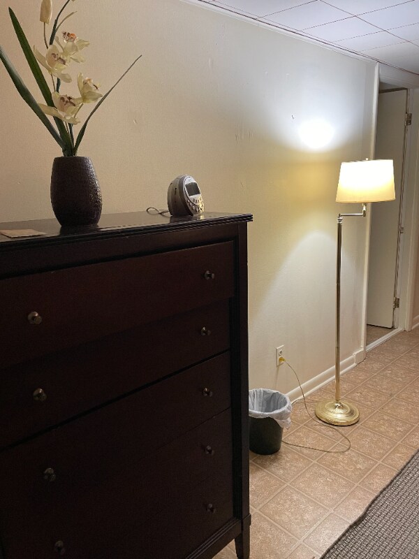 6207 Luckey Ct Rental House Rental in Falls Church, VA