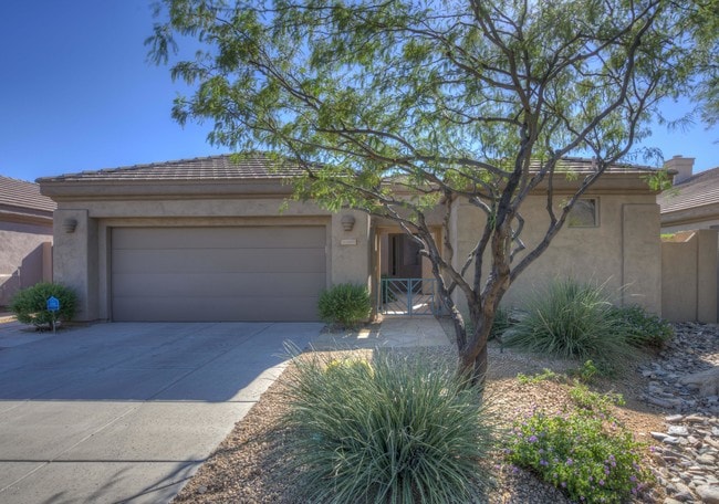 6465 Shooting Star Way