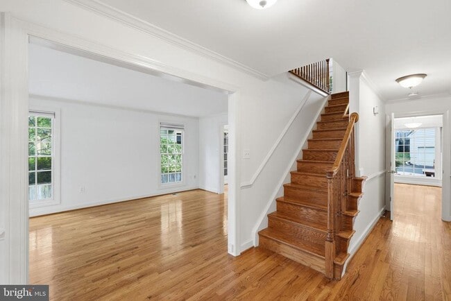 Photo - 2904 4th St N