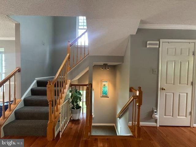 Photo - 10148 Vanderbilt Cir