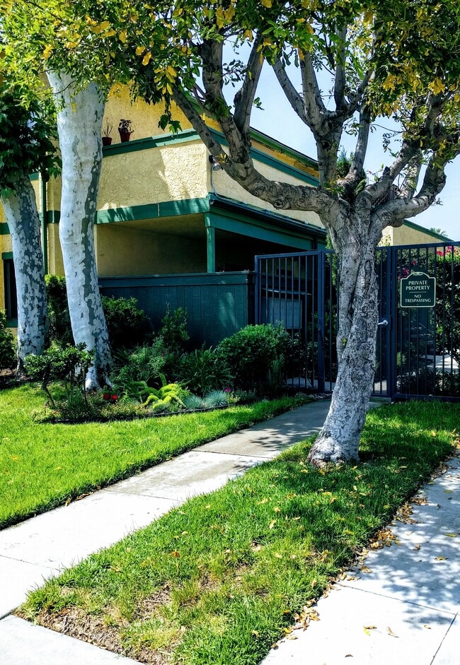 Vista a la calle - 131 Montana St Unidad E