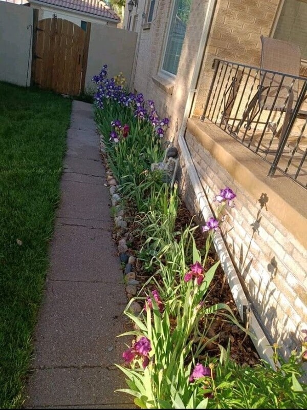 Photo - 219 W 4th Ave