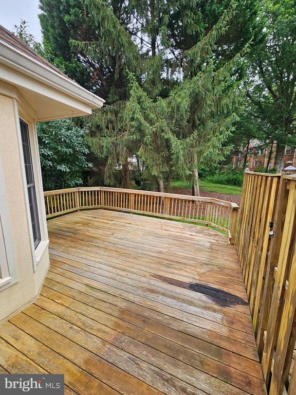 Photo - 1369 Park Garden Ln