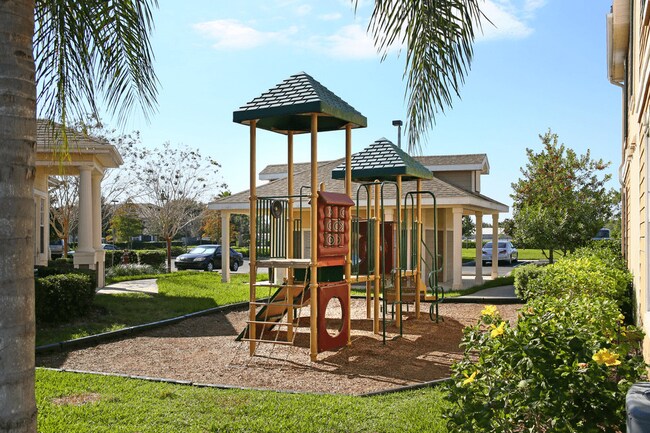 Hammock Oaks