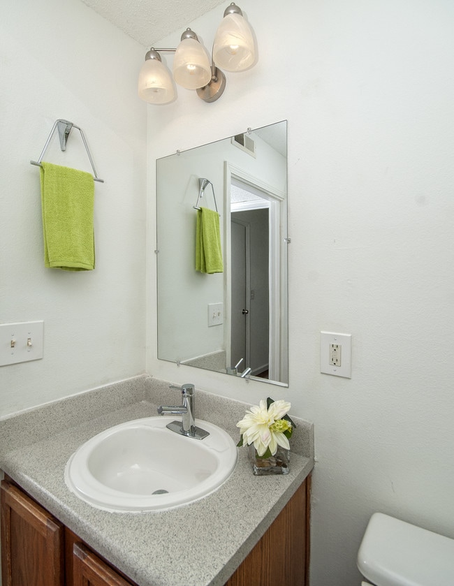 The Enclave Apartments Clemson University OffCampus Housing Search