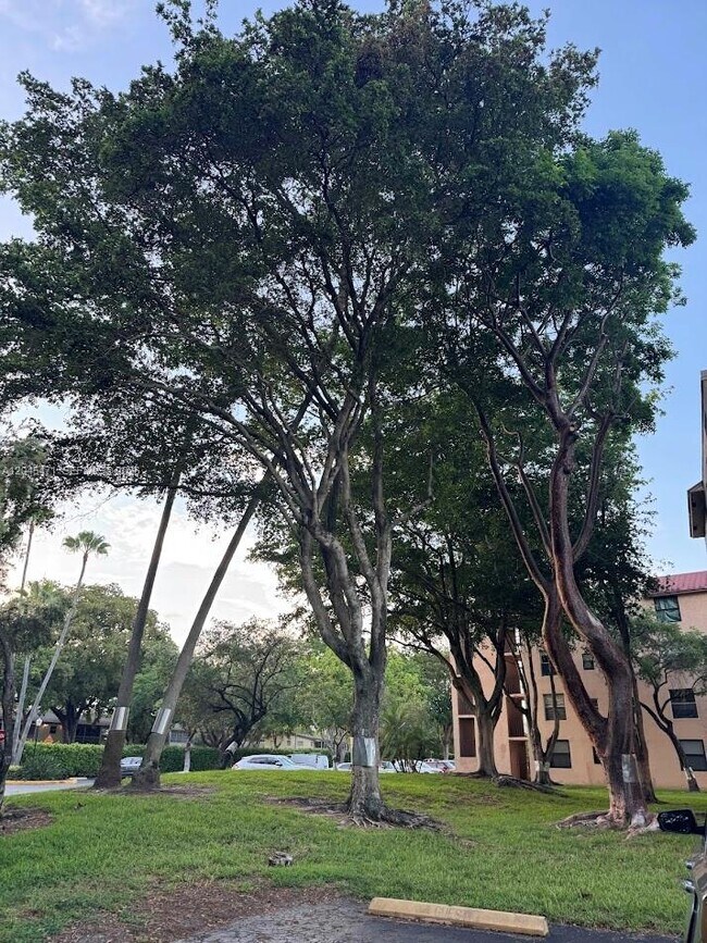 Photo - 7591 NW 1st St Unidad 403