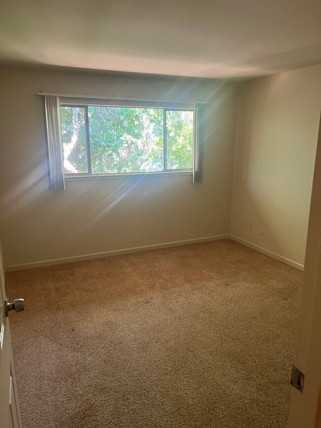 Photo - 1020 Dolores St Unit 2