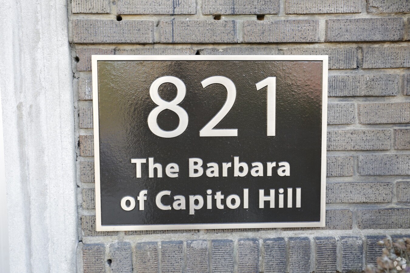 The Barbara of Capitol Hill - The Barbara of Capitol Hill