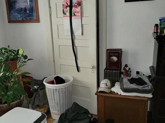 Photo - 46 Hodges Ave Unit 3