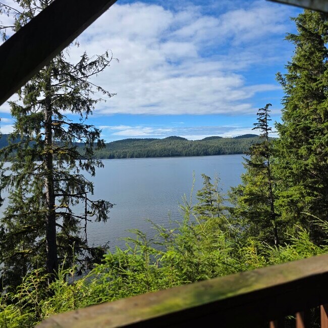 Photo - 16781 N Tongass Hwy