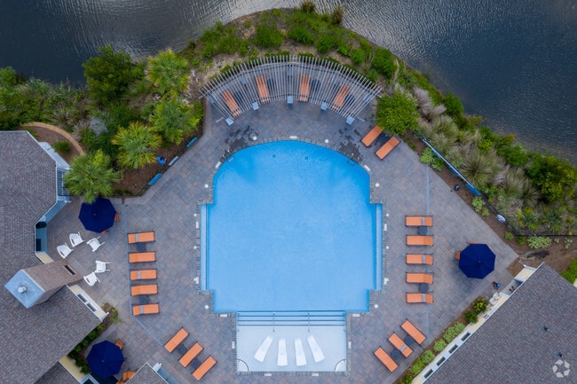 Piscina - Element Carolina Bay