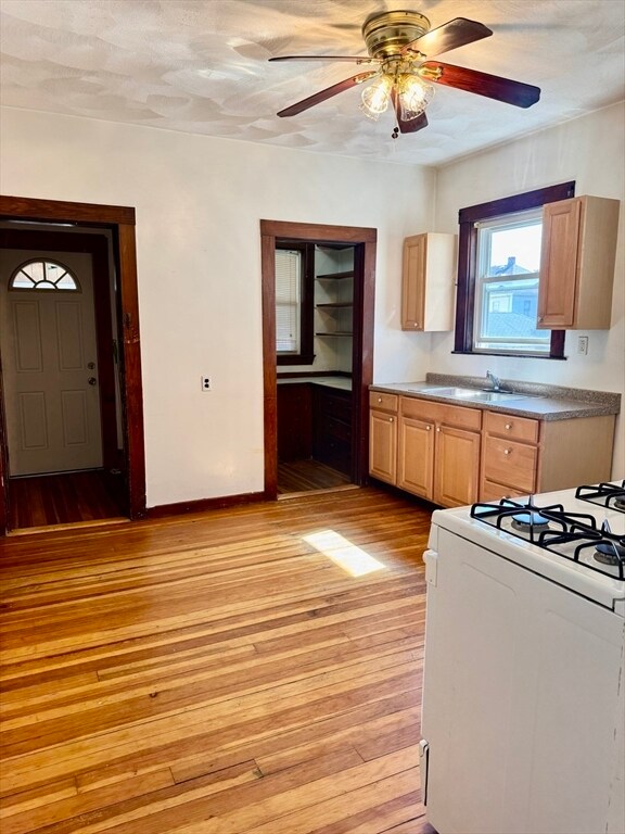 Photo - 64 Wellington Rd Unit 1