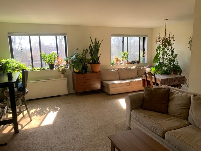 Building Photo - 8601 Manchester Rd Unit 406