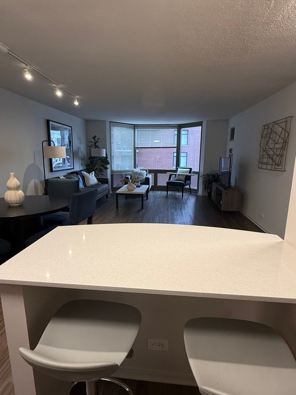 Building Photo - 1125 N Dearborn St Unit 19