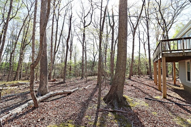 Photo - Private & Peaceful Living on 3 Wooded Acres