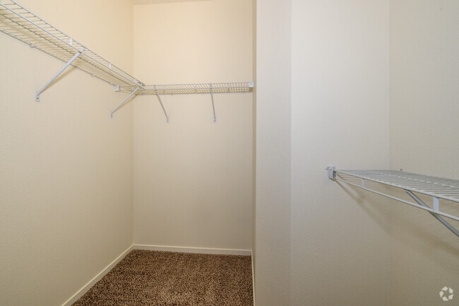 1BR, 1BA - 770SF Closet