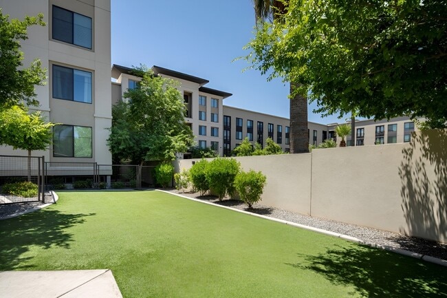 Arts District Apartments