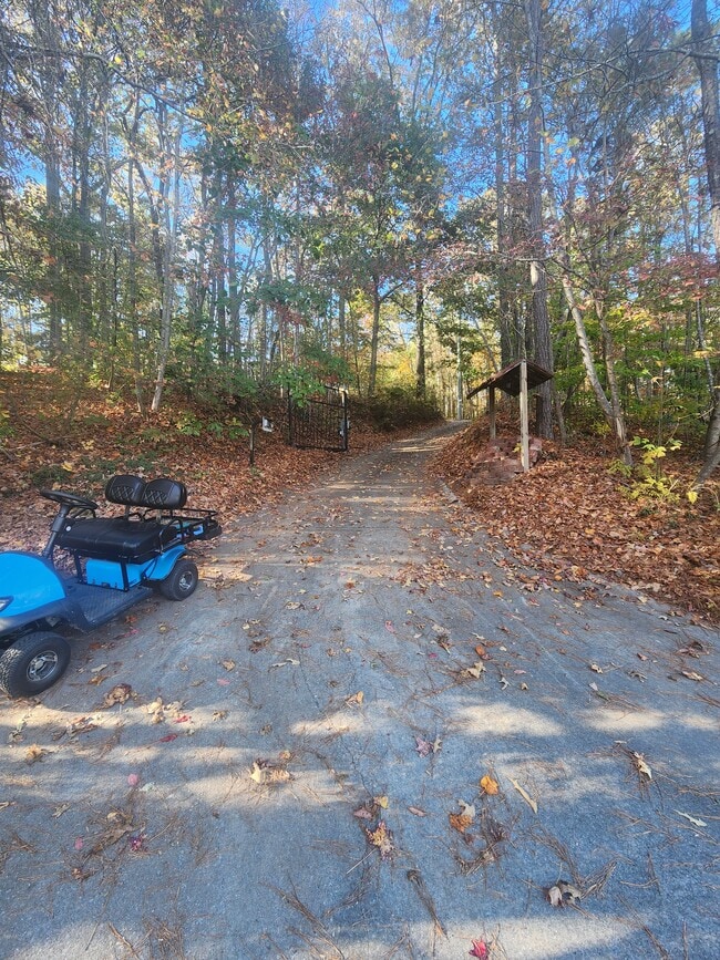 Driveway - 4615 Jones Rd House