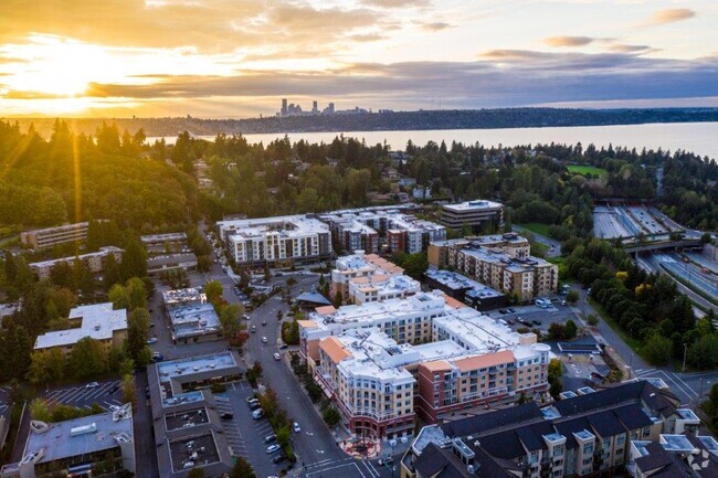 Building Photo - The Mercer Apartment Homes