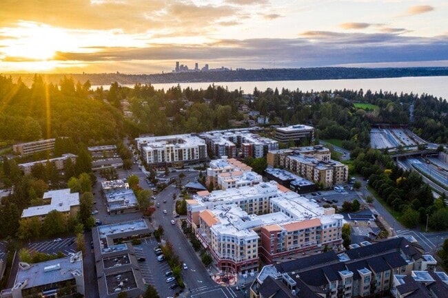 Photo - The Mercer Apartment Homes