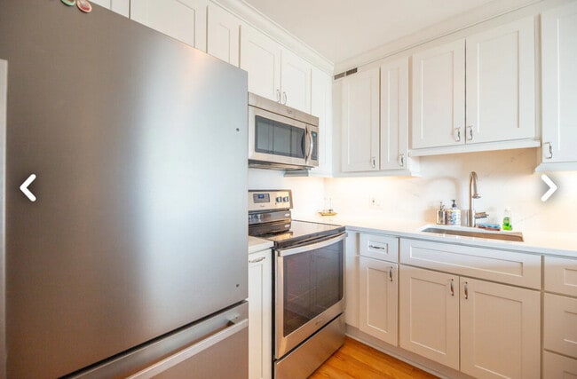 Photo - 1460 N Sandburg Terrace Unit 1503A